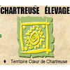 CHARTREUSE ELEVAGE
